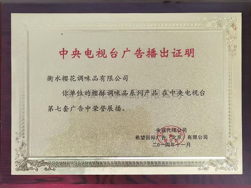 中央电视台广告播出证明